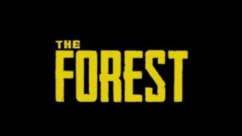 The Forest débroussaille une date de sortie sur PS4