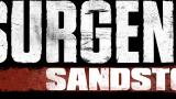 Image Insurgency : Sandstorm