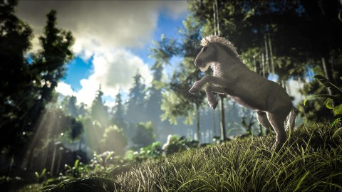 Le patch 256 d’ARK : Survival Evolved est disponible sur consoles