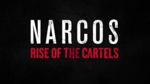 Narcos : Rise of the Cartels est sur de bons rails pour 2019